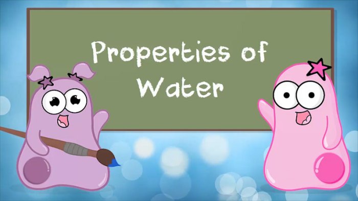 Properties of water amoeba sisters