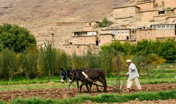 Fatima lives in rural morocco