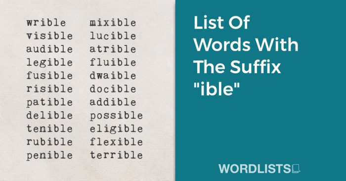 Words that have the suffix ible