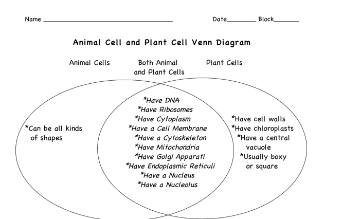 Venn plant versions