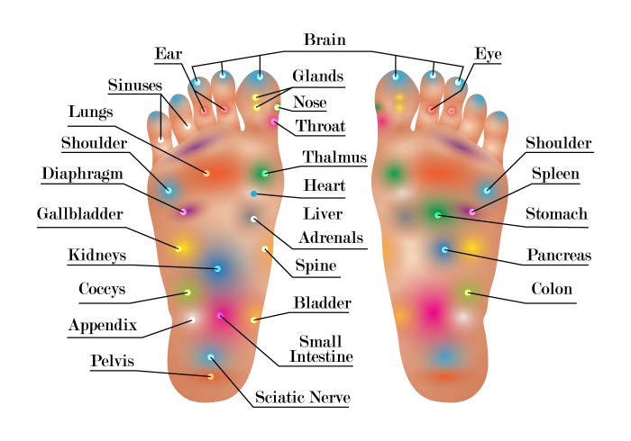 What are the 3 types of reflexology