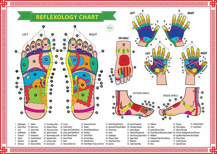 What are the 3 types of reflexology