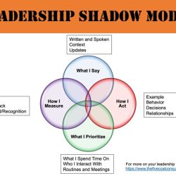 Shadow health prioritization and introduction to leadership