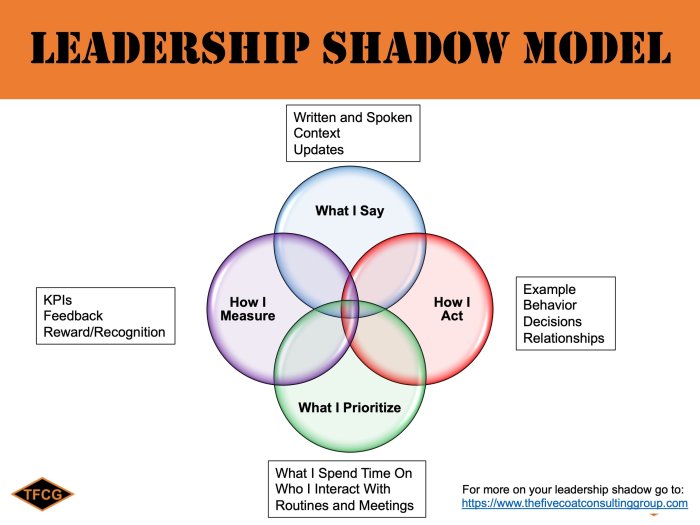 Shadow health prioritization and introduction to leadership