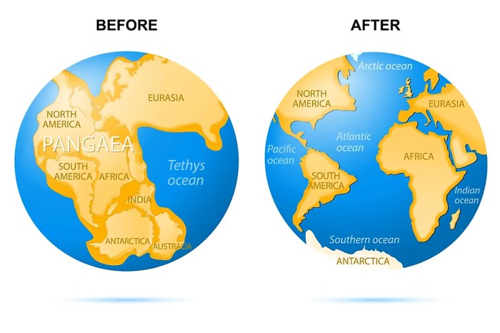 Select the true statement about continental drift