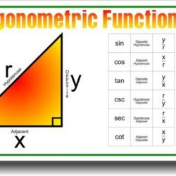 Three trigonometric functions for a given angle are shown below.